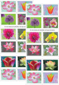 USPS Garden Beauty Forever First Class Postage Stamps image 0