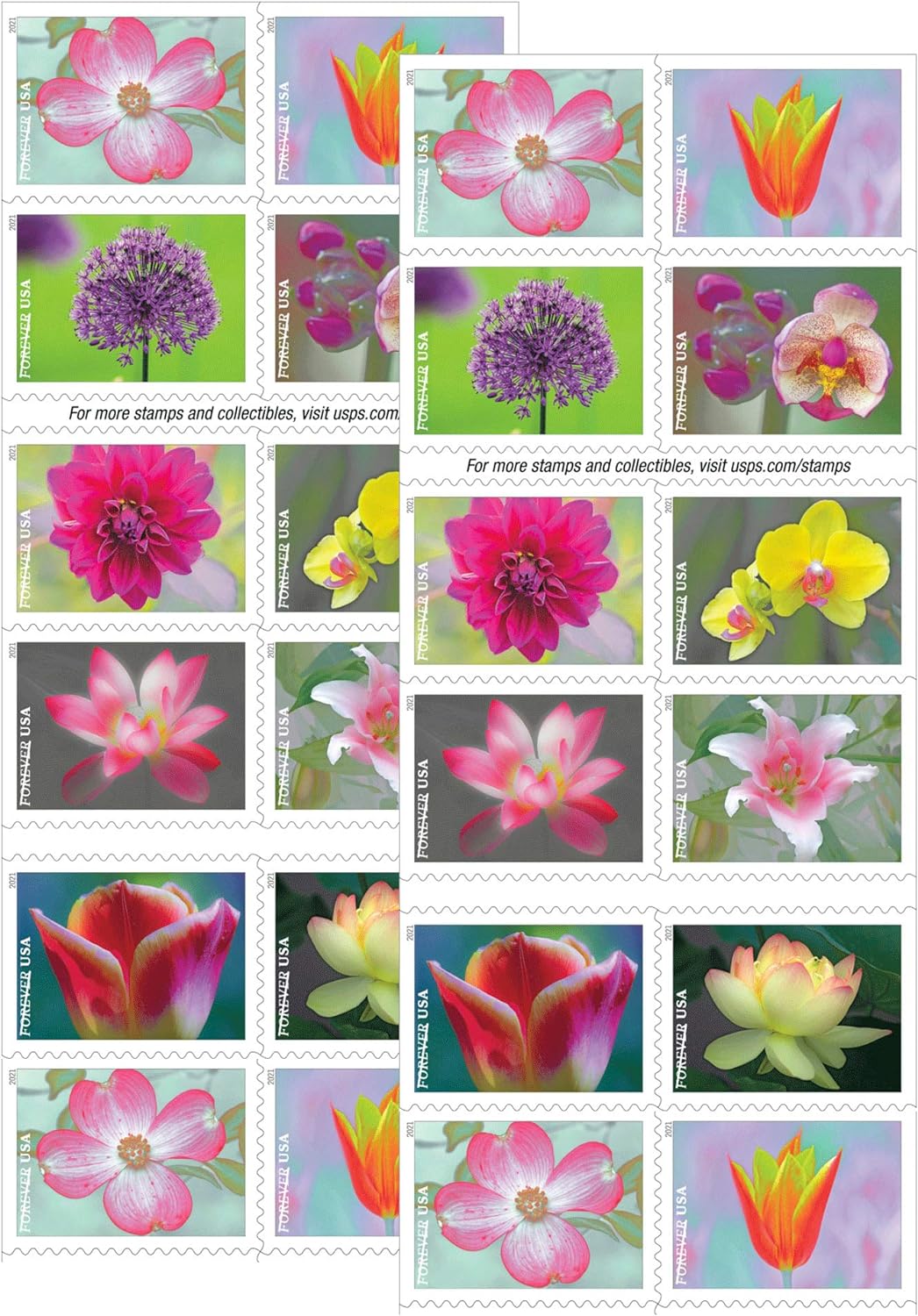 Garden Beauty Forever First Class Postage Stamps