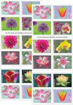 USPS Garden Beauty Forever First Class Postage Stamps image 0