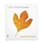 US Forever Stamps Vibrant Leaves Postcard Stamps, Sheet of 20