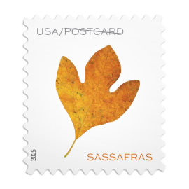 US Forever Stamps Vibrant Leaves Postcard Stamps, Sheet of 20