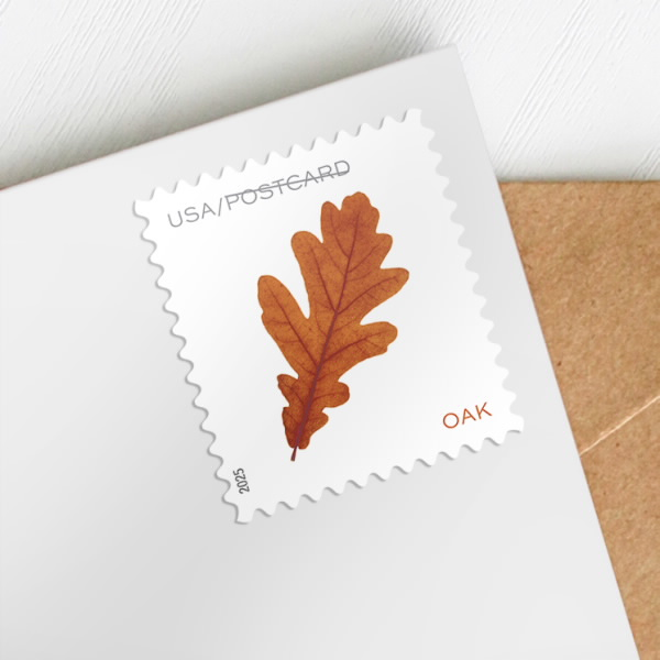 US Forever Stamps Vibrant Leaves Postcard Stamps, Sheet of 20